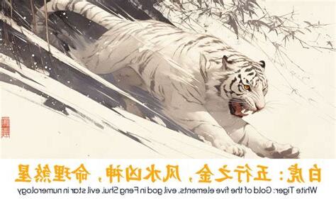 白虎 五行